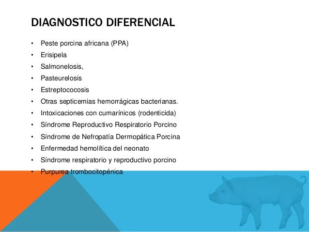 estreptococosis porcina